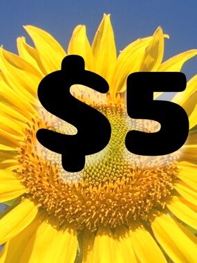 $5 each when you bundle at least 3 items with the ninja symbol🥷🥷🥷🚨 Yay!